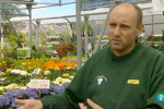 la2-de-tve-en-garde-catalunya-plants-barcelona