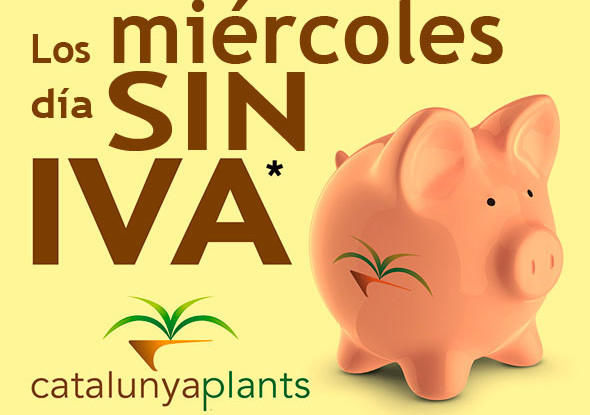 miércoles de junio y julio dia sin iva en garden catalunya plants
