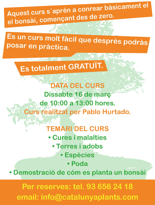 Curs sobre cultiu de Bonsài a Garden Catalunya Plants (Barcelona)