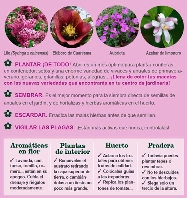 Agenda del jardí, terrassa i hort d´ABRIL