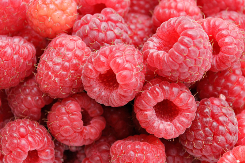 Els Gerds – Fruits del bosc molt rústics