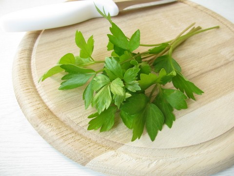 Levisticum officinale – L´Api de Muntanya