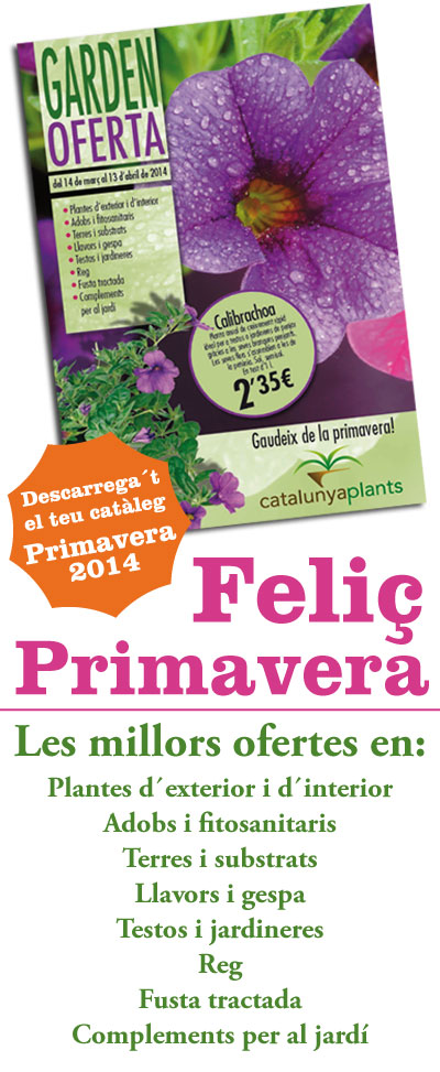 Descarrega´t el catàleg Primavera 2014