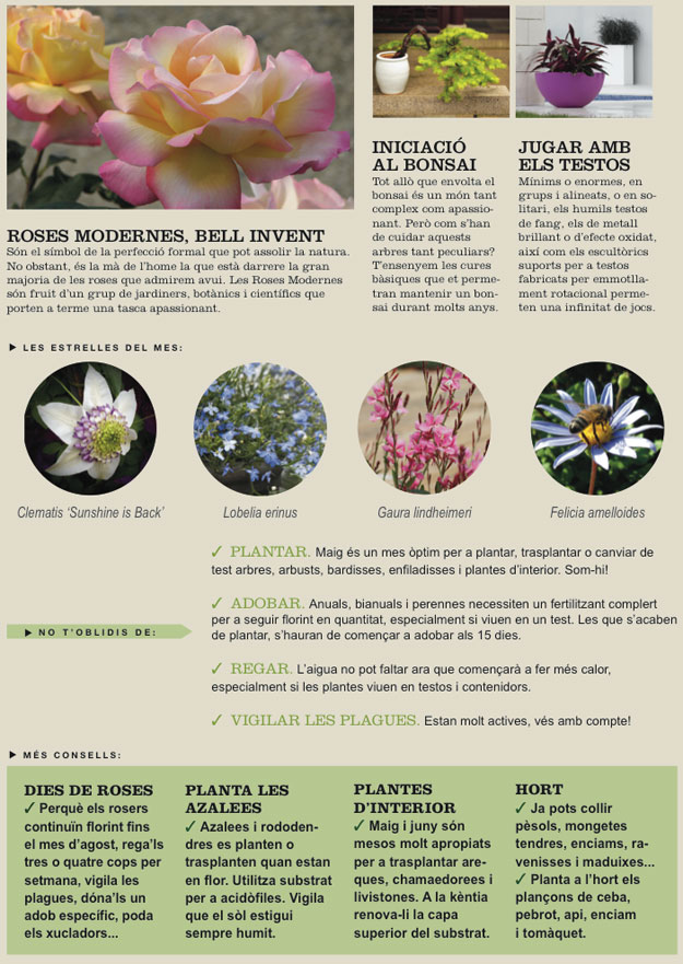 Agenda del jardí de Maig