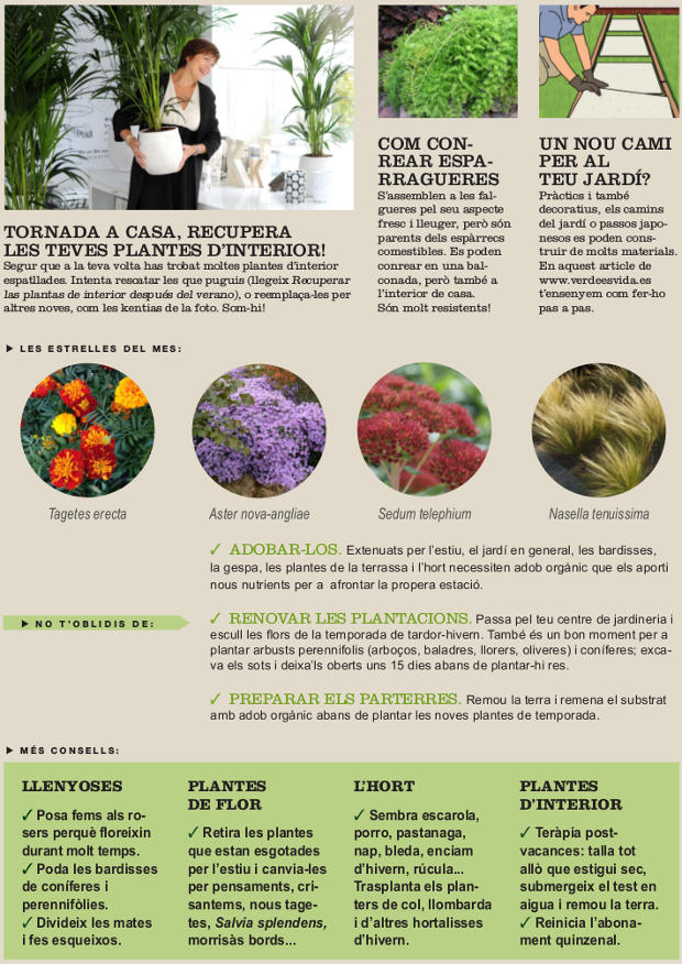 Agenda del jardí de Setembre.