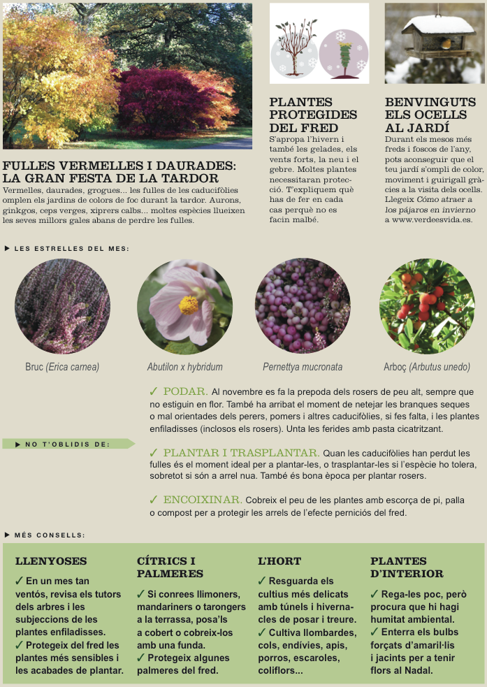 Agenda de l’Hort i el Jardí de Novembre.
