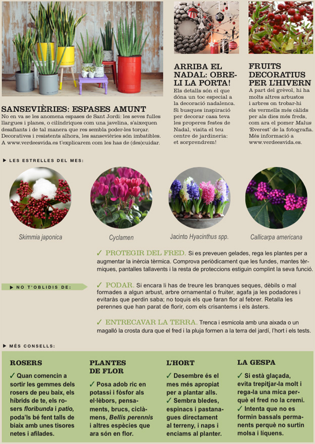 Agenda de l’Hort i el Jardí de Desembre.
