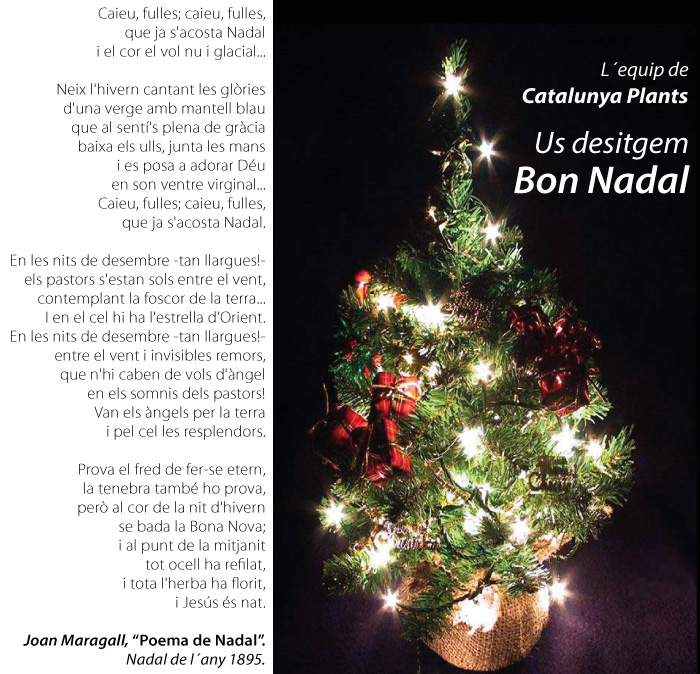 L´equip de Catalunya Plants us desitgem Bon Nadal.