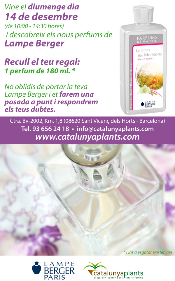 Diumenge 14 de desembre: descobreix els nous perfums Lampe Berger i recull el teu regal.