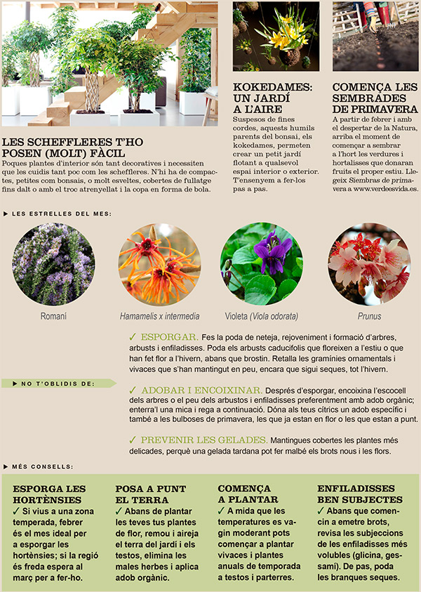 agenda-hort-jardi-febrer-2015