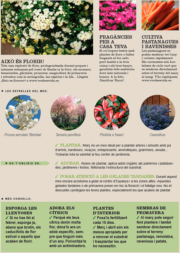 Agenda de l´Hort i Jardí de Març