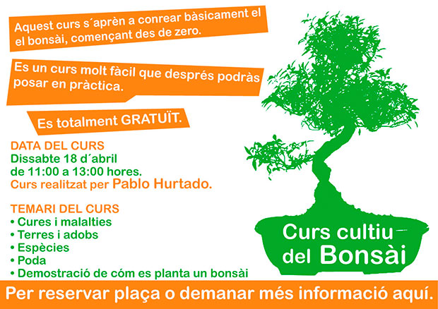 T´agraden els bonsàis? Apunta´t al nostre curs gratuït