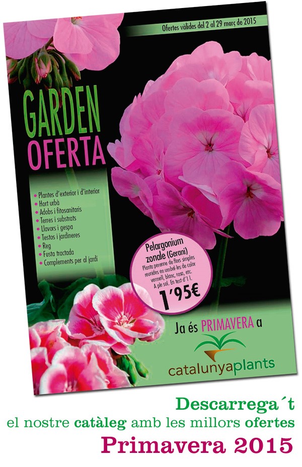 Descarrega´t el nostre Catàleg Primavera 2015 amb les millors ofertes.