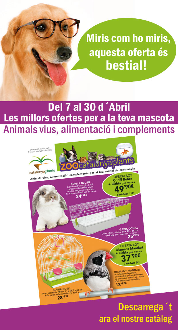 anunci-mascotes2