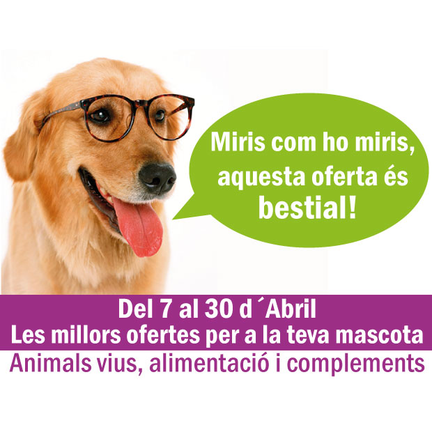 Descarrega´t el catàleg de Mascotes amb les millors ofertes.