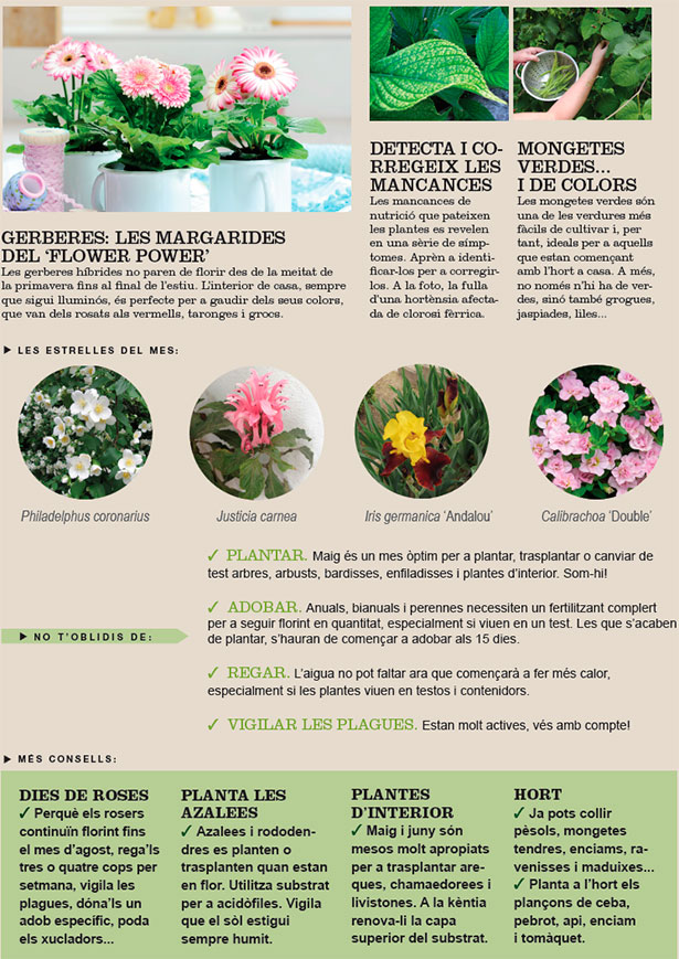 Agenda de l´Hort i Jardí de Maig