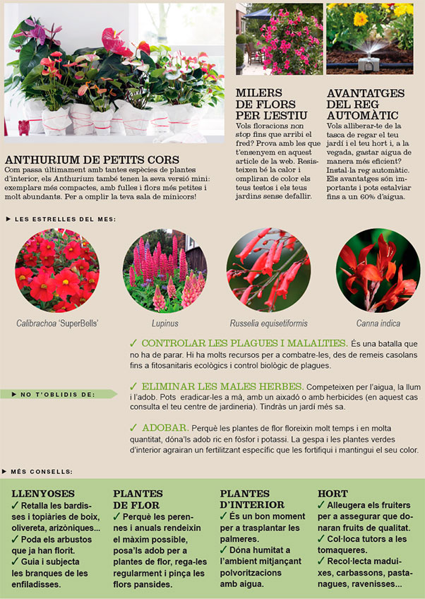 Agenda de l´Hort i Jardí de juny