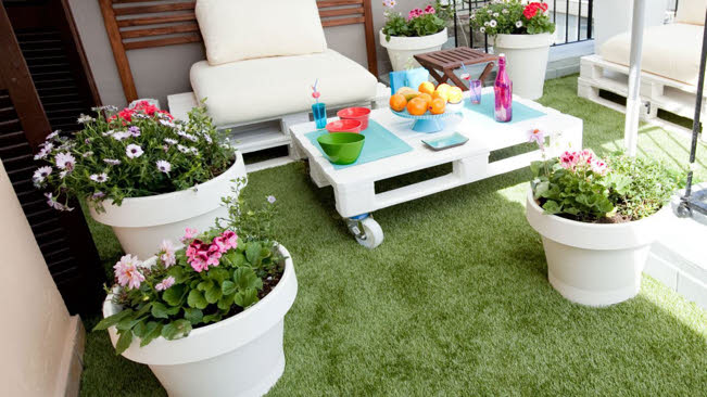 Gaudeix l’estiu amb plantes!