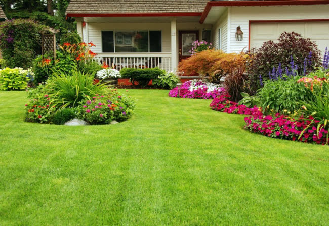 jardin-verano-plantas