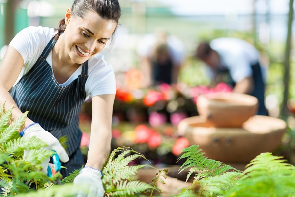 4 raons definitives per comprar en un centre de jardineria.
