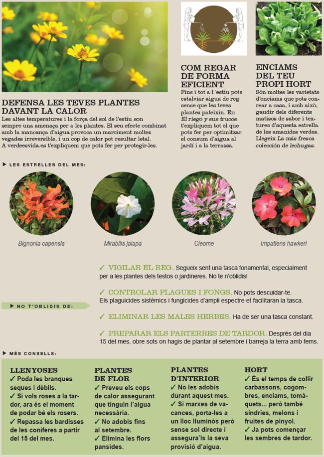 Agenda de l’Hort i Jardí d’Agost