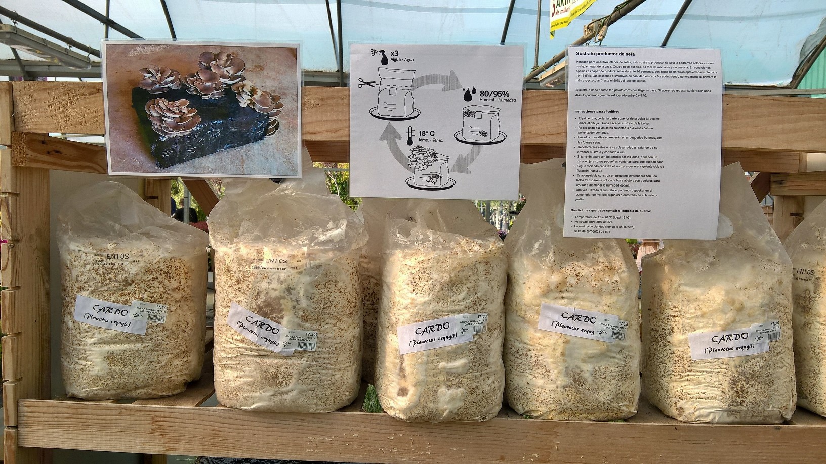 Novetat: Cultiva bolets a la teva propia llar.