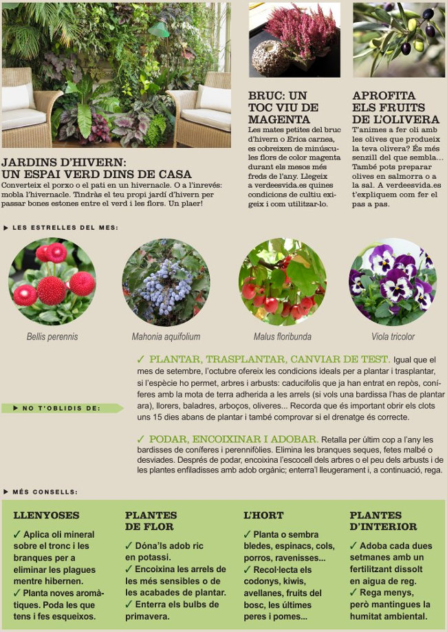 Agenda de l’Hort i Jardí d’Octubre.