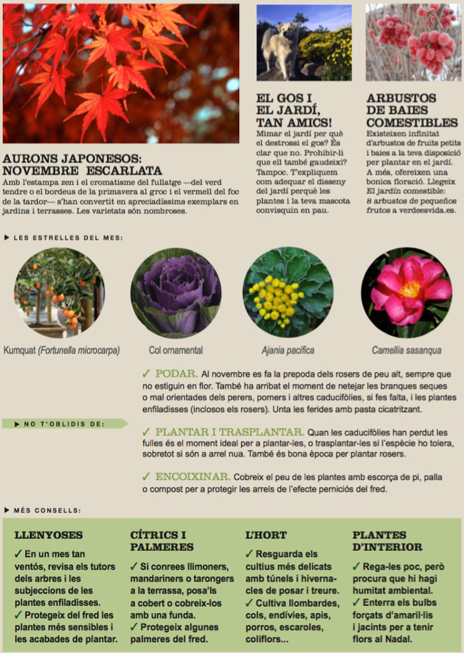 Agenda de l’Hort i Jardí de Novembre.