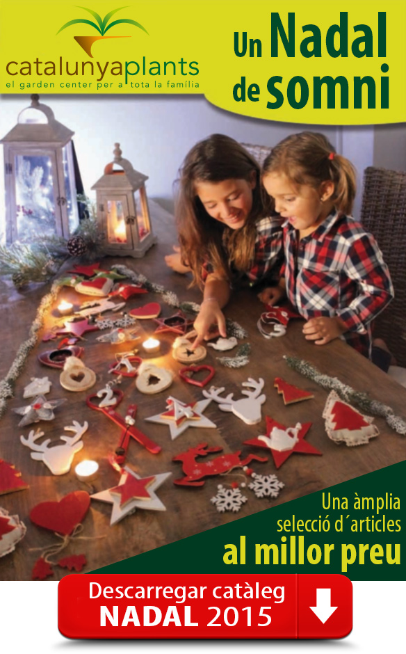 Descarrega´t el teu catàleg de Nadal.