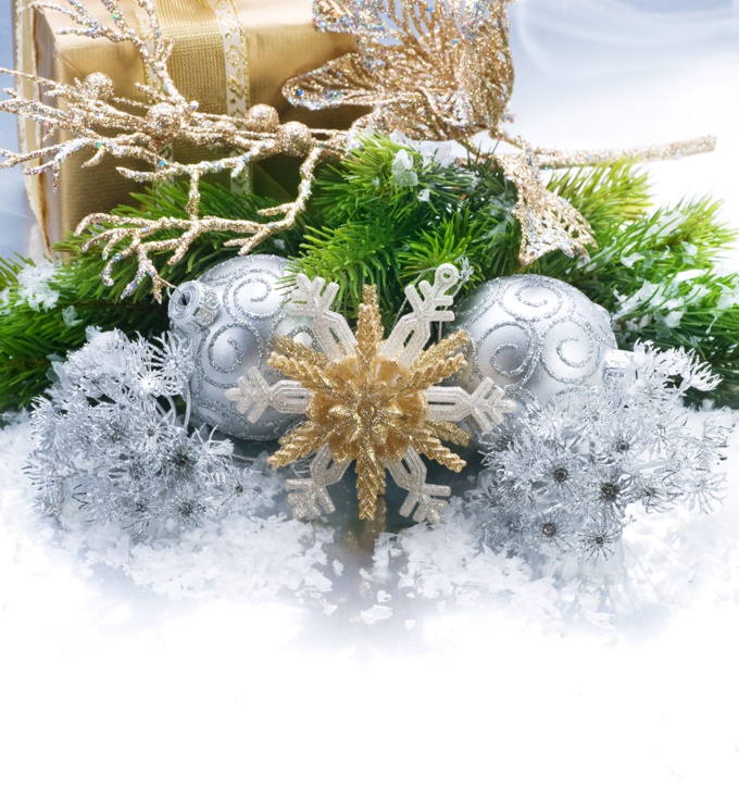 L´Equip de Catalunya Plants els desitjem Bones Festes.