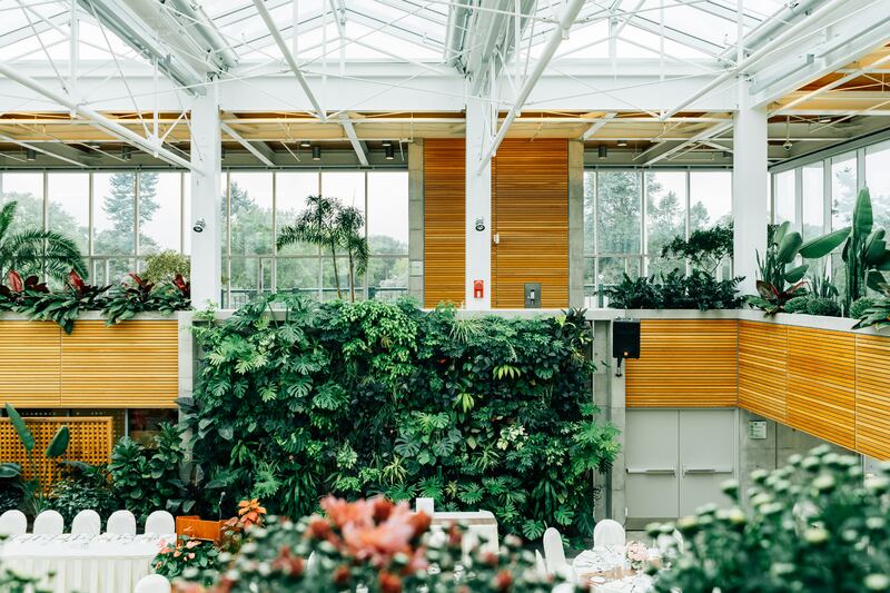 Caracteristiques i beneficis dels jardins verticals