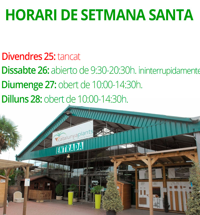 Horari de Setmana Santa 2016.