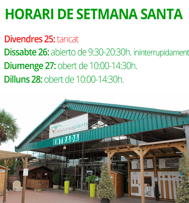 horari-setmana-santa-catalunya-plants-2016