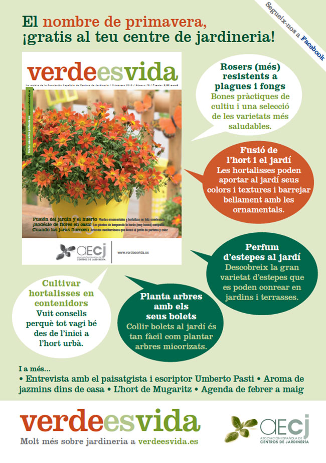 revista-verde-es-vida