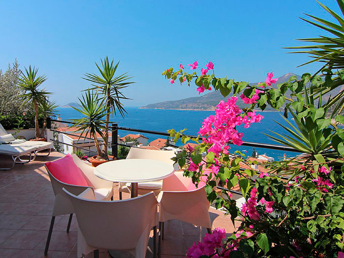 10 plantes ideals per a jardins i terrasses a prop del mar