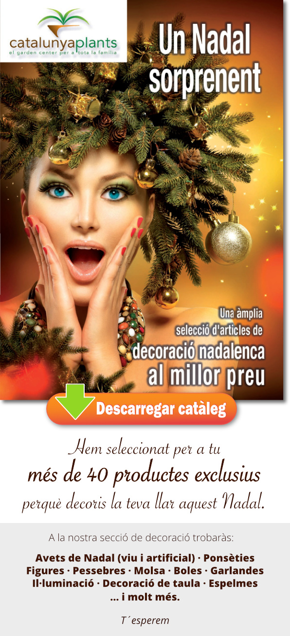 descarrega´t del nosre catàleg de Nadal 2016