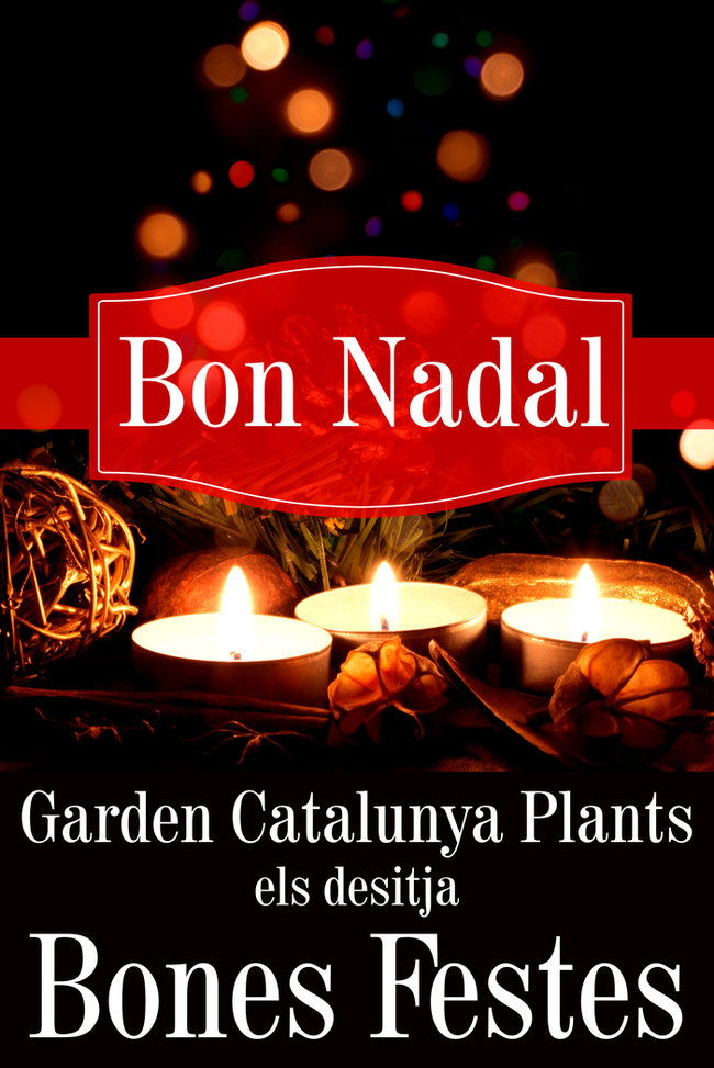 Garden Catalunya Plants els desitja Bones Festes.