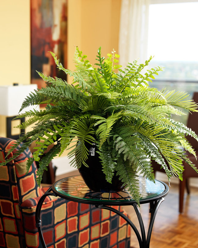 Avantatges i usos de les plantes artificials.