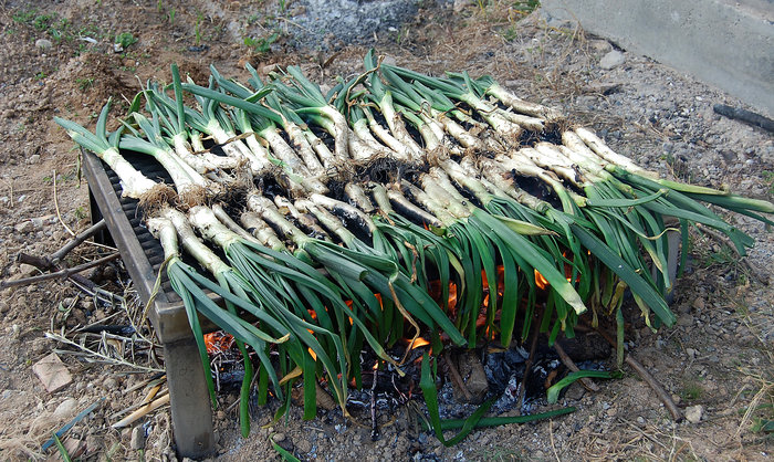 Prova els nostres calçots de collita pròpia