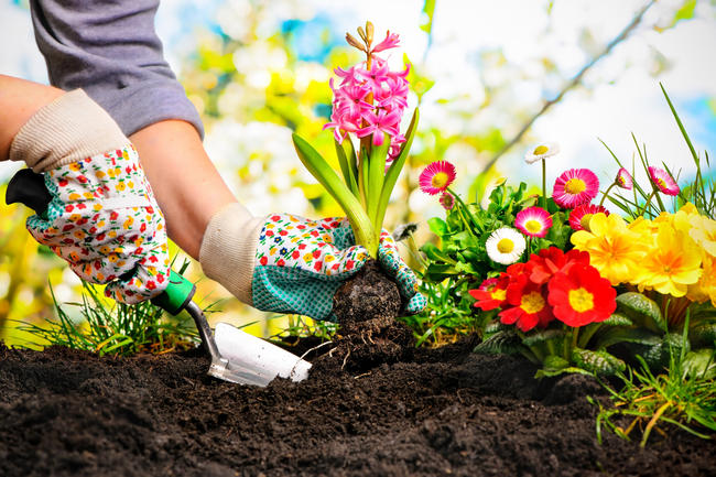 Consells de seguretat i salut en jardineria.