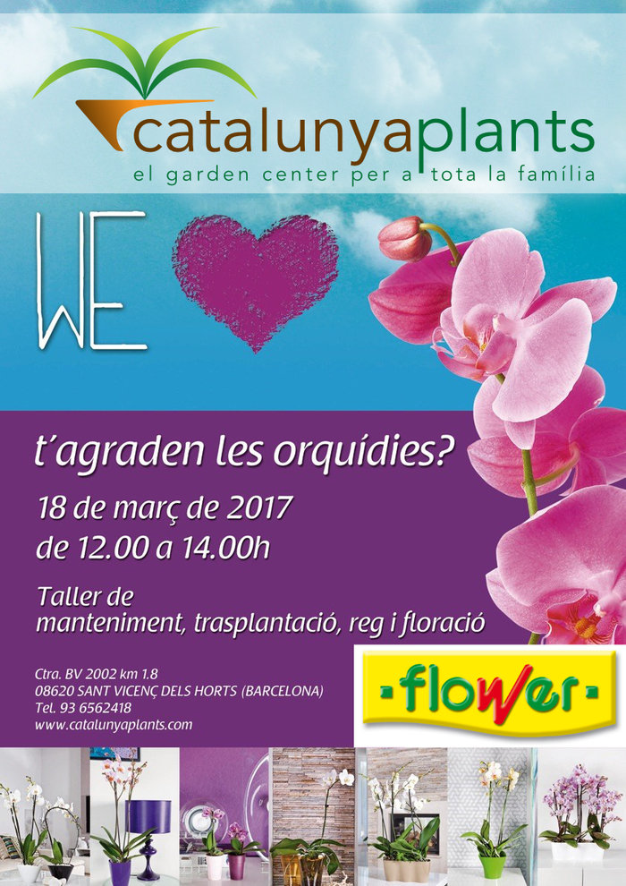 T´agraden les Orquídies? Apunta´t al nostre taller gratuït.