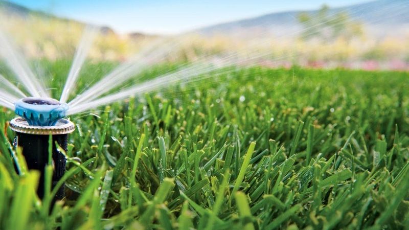 Agenda del Jardí de Juliol
