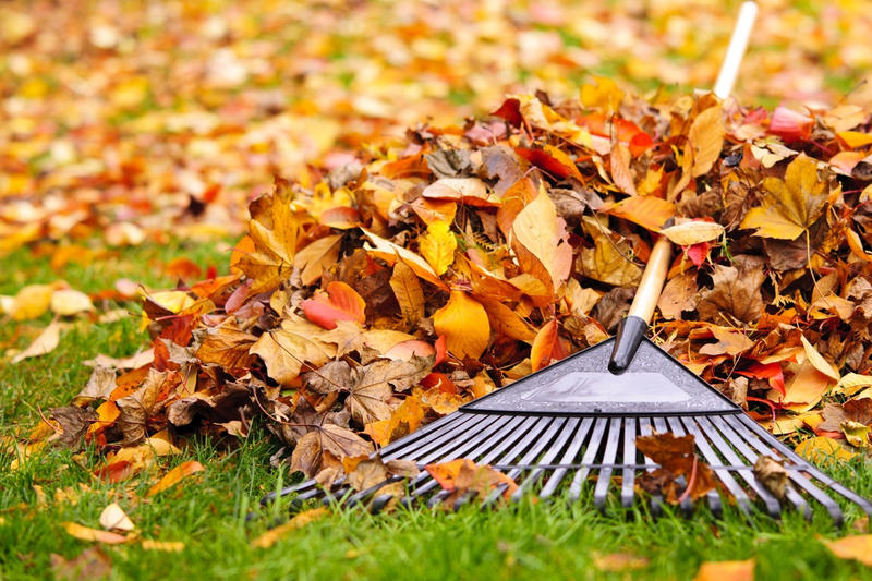 Agenda del jardí d´Octubre