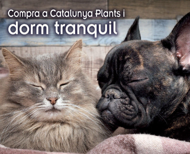 Articles al millor preu per al teu animal de companyia