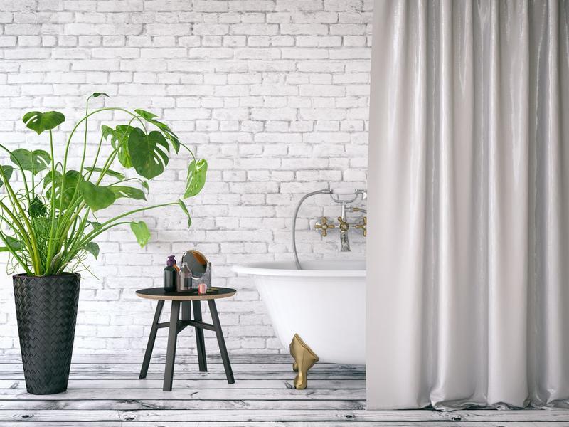 Plantes ideals per al bany