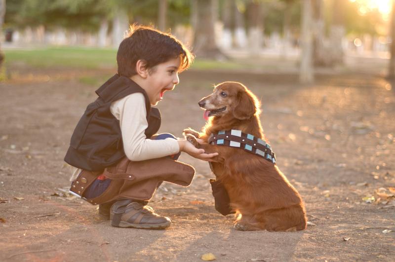 Com i per què ensenyar a un nen a  tenir cura d´una mascota