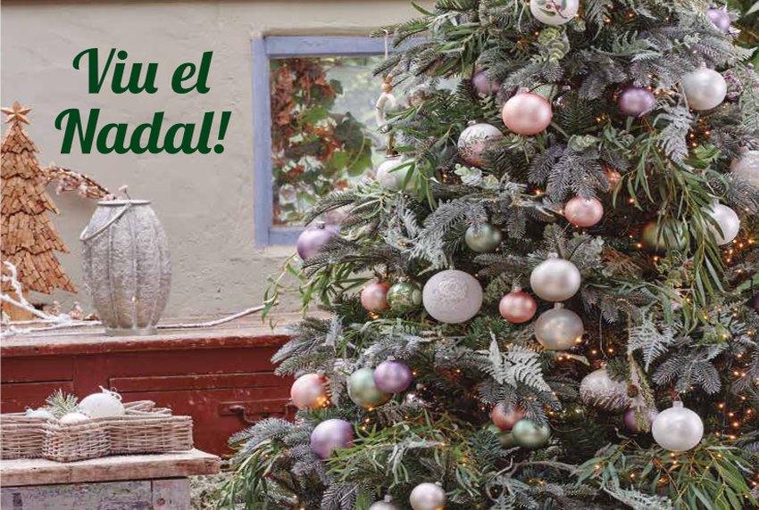 Descarrega´t el catàleg de Nadal 2020