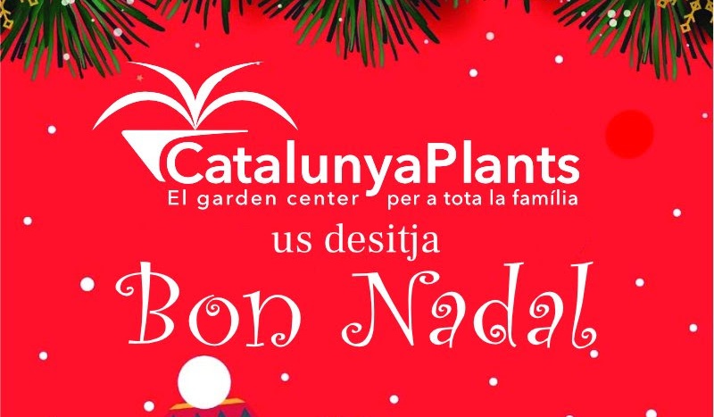 Bones Festes