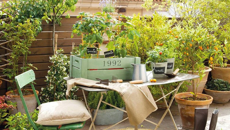 Transforma la teva terrassa o balcó en un jardí