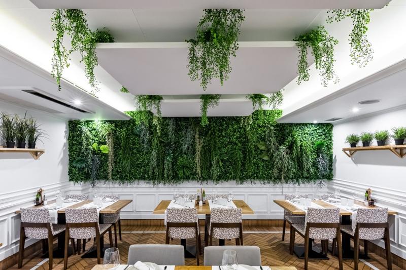 Ús i beneficis d’elements vegetals a la decoració